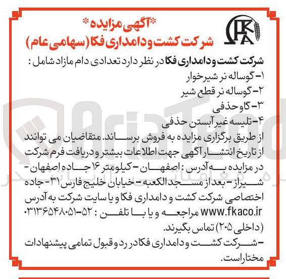 تصویر کوچک آگهی فروش تعدادی دام مازاد شامل : گوساله نر شیرخوار ، گوساله نر قطع شیر ، گاو حذفی ، تلیسه غیرآبستن حذفی