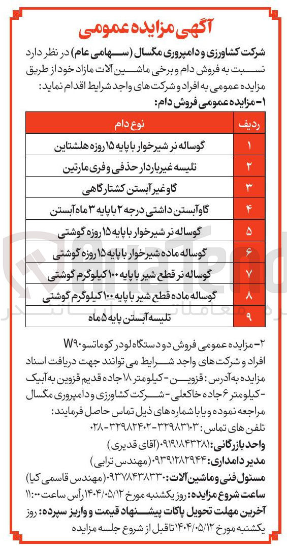 تصویر کوچک آگهی گاو غیر آبستن کشتارگاهی 
