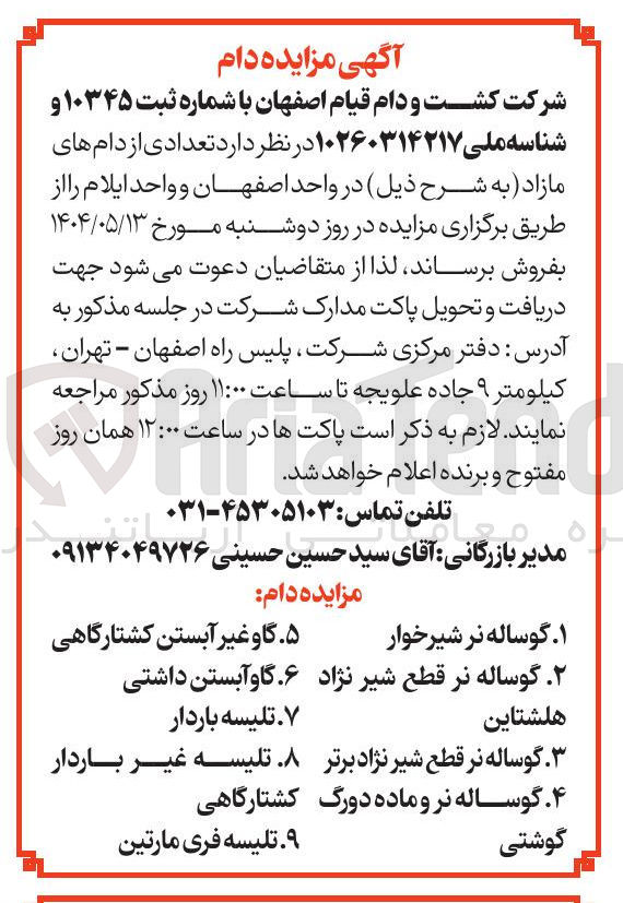 تصویر کوچک آگهی فروش تعدادی از دام های مازاد : گوساله نر شیرخوار - گاو غیر آبستن کشتارگاهی - گوساله نر قطع شیر نژاد هلشتاین - گاو آبستن داشتی - تلیسه باردار - گوساله نر قطع شیر نژاد برتر - تلیسه غیر باردار کشتارگاهی - گوساله نر و ماده دورگ گوشتی - تلیسه فری مارتین
