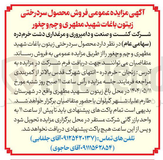 تصویر کوچک آگهی فروش  محصول سردرختی زیتون باغات