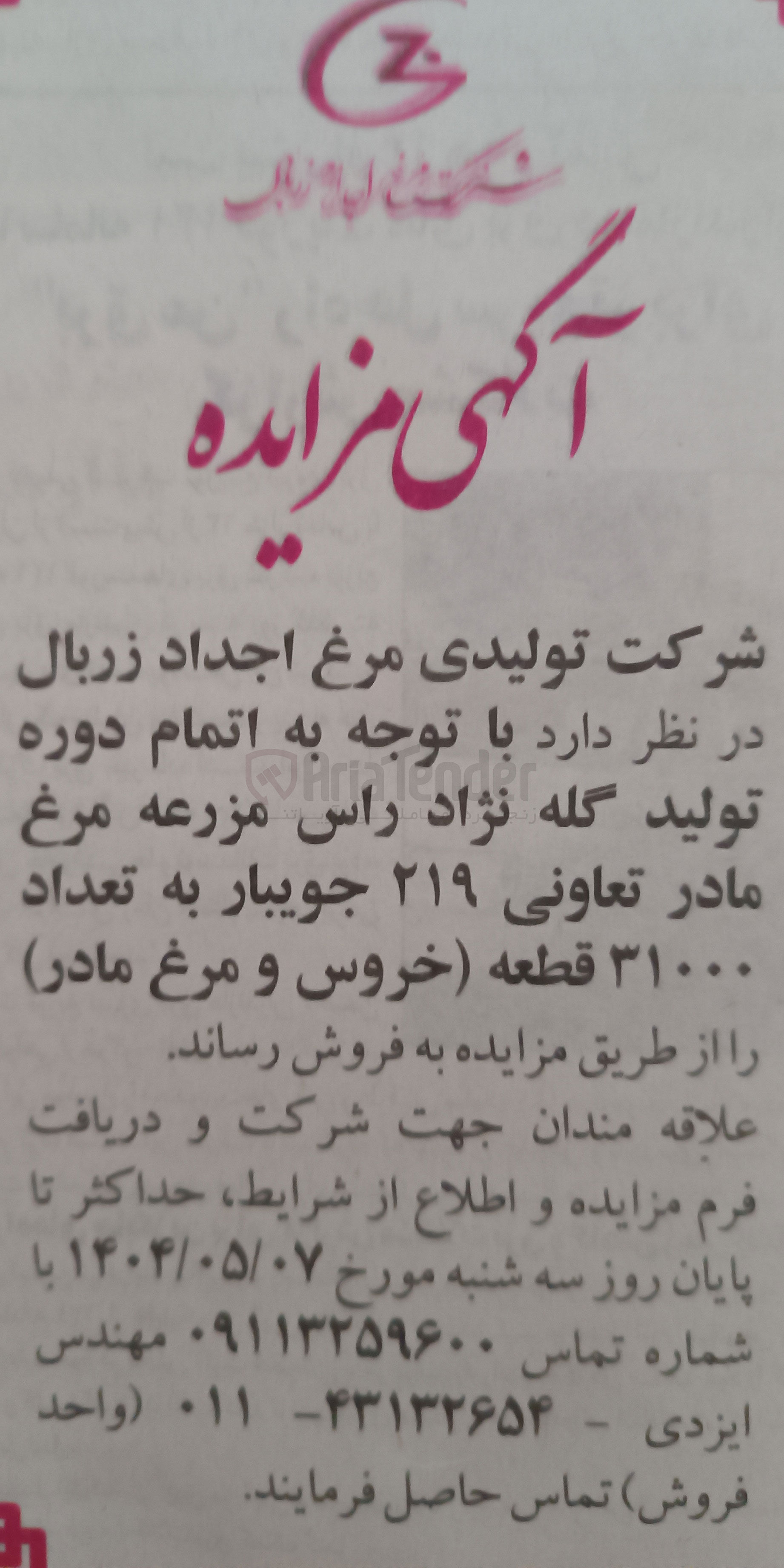 تصویر کوچک آگهی تعداد ۳۱۰۰۰ قطعه خروس و مرغ مادر 