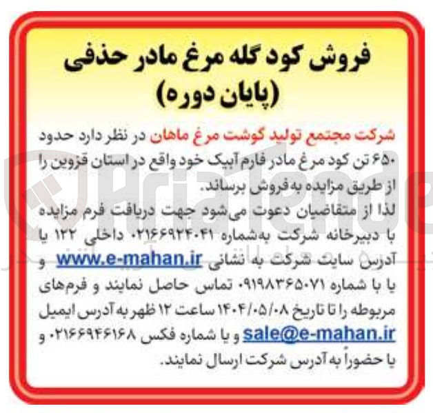 تصویر کوچک آگهی  حدود ۶۵۰ تن کود مرغ مادر فارم