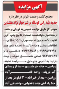 تصویر کوچک آگهی فروش حدود ۸۵ راس گوساله نر شیرخوار نژاد هلشتاین 