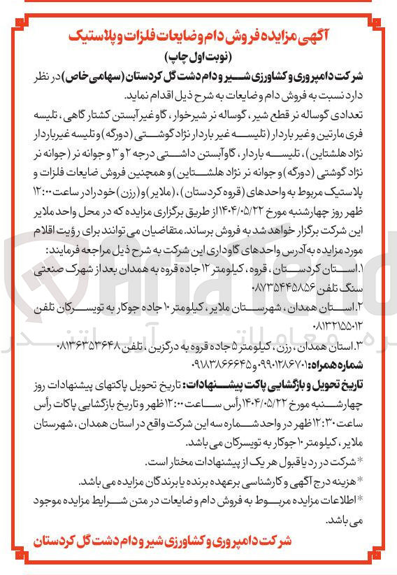 تصویر کوچک آگهی  فروش دام و ضایعات : 
تعدادی گوساله نر قطع شیر گوساله نر شیرخوار گاو غیر آبستن کشتارگاهی تلیسه فری مارتین و غیر باردار تلیسه غیر باردار نژاد گوشتی دورگه ) و تلیسه غیر باردار نژاد هلشتاین ، تلیسه باردار گاو آبستن داشتی درجه ۲ و ۳ و جوانه نر جوانه نر نژاد گوشتی ( دورگه و جوانه نر نژاد هلشتاین و فروش ضایعات فلزات و پلاستیک مربوط 