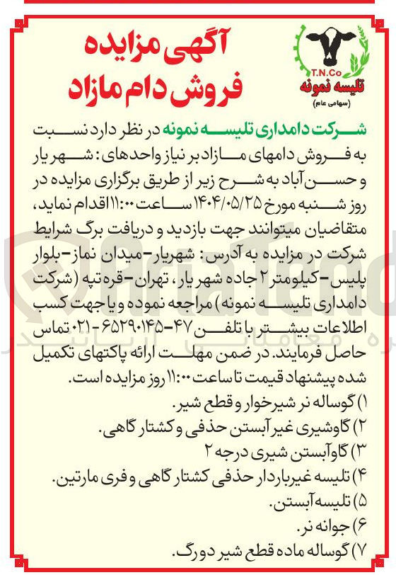 تصویر کوچک آگهی فروش دامهای مازاد :  گوساله نر شیرخوار و قطع شیر - گاوشیری غیر آبستن حذفی و کشتارگاهی - گاو آبستن شیری درجه ۲ - تلیسه غیر باردار حذفی کشتار گاهی و فری مارتین - تلیسه آبستن - جوانه نر - گوساله ماده قطع شیر دورگ