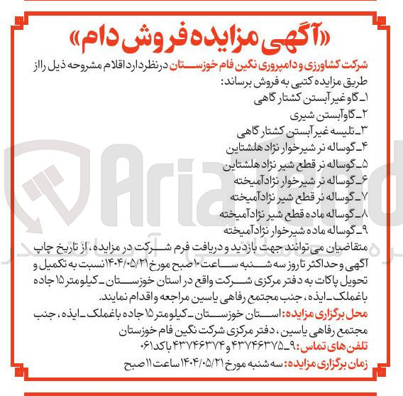 تصویر کوچک آگهی فروش گاو غیر آبستن کشتارگاهی - گاو آبستن شیری - تلیسه غیر آبستن کشتارگاهی - گوساله نر شیرخوار نژاد هلشتاین - گوساله نر قطع شیر نژاد هلشتاین  گوساله نر شیر خوار نژاد آمیخته - گوساله نر قطع شیر نژاد آمیخته - گوساله ماده قطع شیر نژاد آمیخته - گوساله ماده شیرخوار نژاد آمیخته 