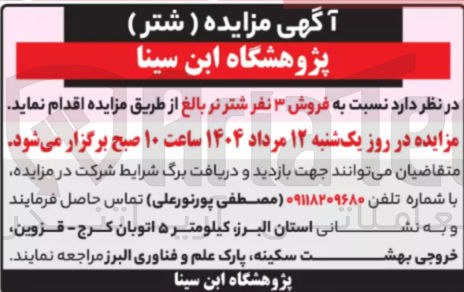 تصویر کوچک آگهی  فروش ۳ نفر شتر نر 