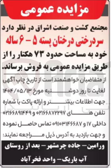 تصویر کوچک آگهی فروش سر درختی درختان پسته ۵ - ۶ ساله خود به مساحت حدود ۷۳ هکتار
