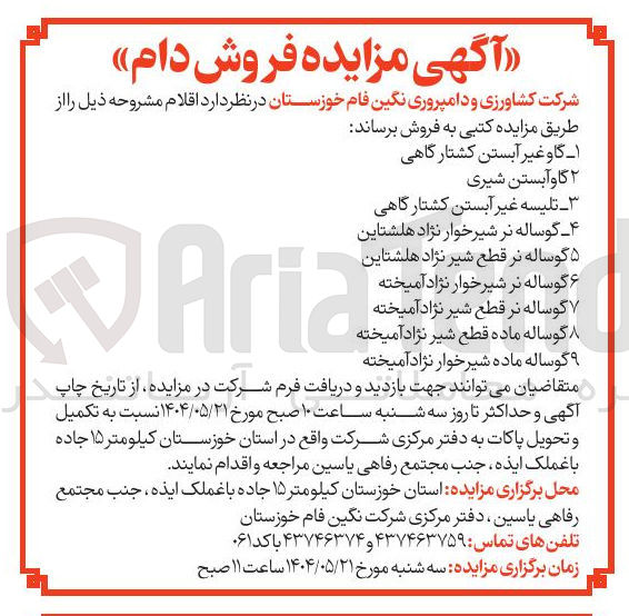تصویر کوچک آگهی فروش اقلام شامل : گاو غیر آبستن کشتارگاهی - گاو آبستن شیری - تلیسه غیر آبستن کشتارگاهی - گوساله نر شیرخوار نژاد هلشتاین  گوساله نر قطع شیر نژاد هلشتاین - گوساله نر شیر خوار نژاد آمیخته - گوساله نر قطع شیر نژاد آمیخته  گوساله ماده قطع شیر نژاد آمیخته - گوساله ماده شیر خوار نژاد آمیخته 