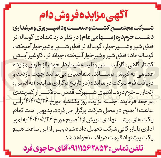 تصویر کوچک آگهی فروش تعدادی گوساله نر قطع شیر و شیر خوار ، گوساله نر قطع شیر و شیر خوار آمیخته گوساله ماده قطع شیر و شیر خوار آمیخته ، جوانه نر گاو غیر آبستن کشتارگاهی ، گاو آبستن و تلیسه غیر باردار 