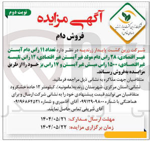تصویر کوچک آگهی فروش تعداد ۱۱ راس دام آبستن غیر اقتصادی ۲۸ راس دام مولد غیر آبستن غیر اقتصادی ، ۱۲ راس تلیسه غیر اقتصادی ۱۵۰۰ راس میش غیر آبستن و ۱۷ راس بز