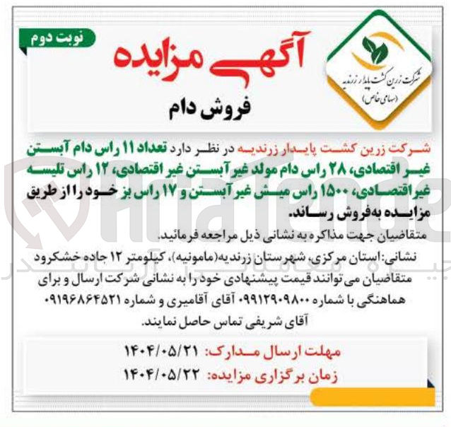 تصویر کوچک آگهی فروش تعداد ۱۱ راس دام آبستن غیر اقتصادی ۲۸ راس دام مولد غیر آبستن غیر اقتصادی ۱۲ راس تلیسه غیر اقتصادی ۱۵۰۰ راس میش غیر آبستن و ۱۷ راس بز 