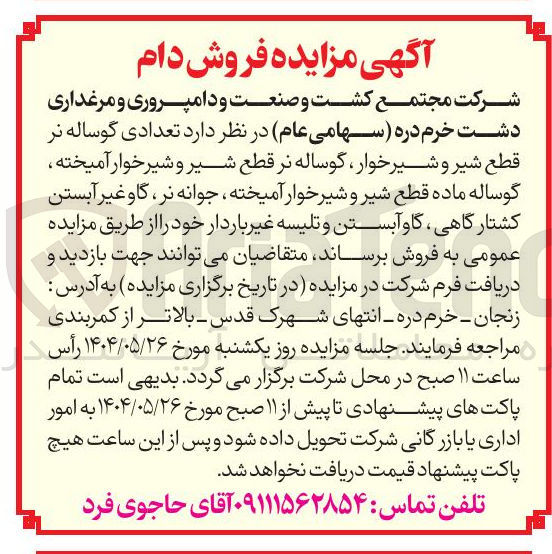 تصویر کوچک آگهی تعدادی گوساله نر قطع شیر و شیرخوار ، گوساله نر قطع شیر و شیر خوار آمیخته گوساله ماده قطع شیر و شیر خوار آمیخته جوانه نر گاو غیر آبستن کشتارگاهی ، گاو آبستن و تلیسه غیر باردار 
