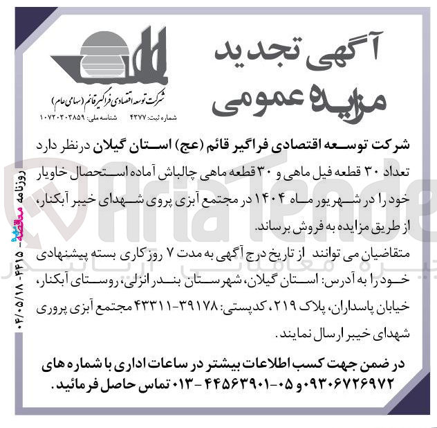 تصویر کوچک آگهی فروش تعداد ۳۰ قطعه فیل ماهی و ۳۰ قطعه ماهی چالباش آماده استحصال خاویار 