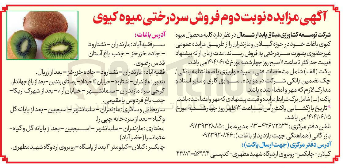 تصویر کوچک آگهی فروش  کلیه محصول میوه کیوی باغات خود