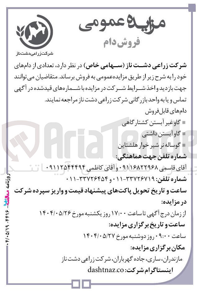 تصویر کوچک آگهی فروش تعدادی از دامهای خود : گاو غیر آبستن کشتارگاهی - گاو آبستن داشتی - گوساله نر شیر خوار هلشتاین