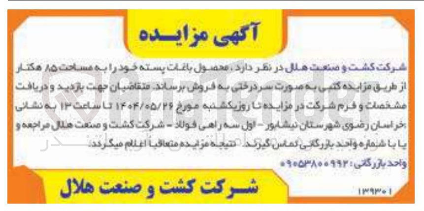 تصویر کوچک آگهی فروش محصول باغات پسته خود به مساحت ۸۵ هکتار 