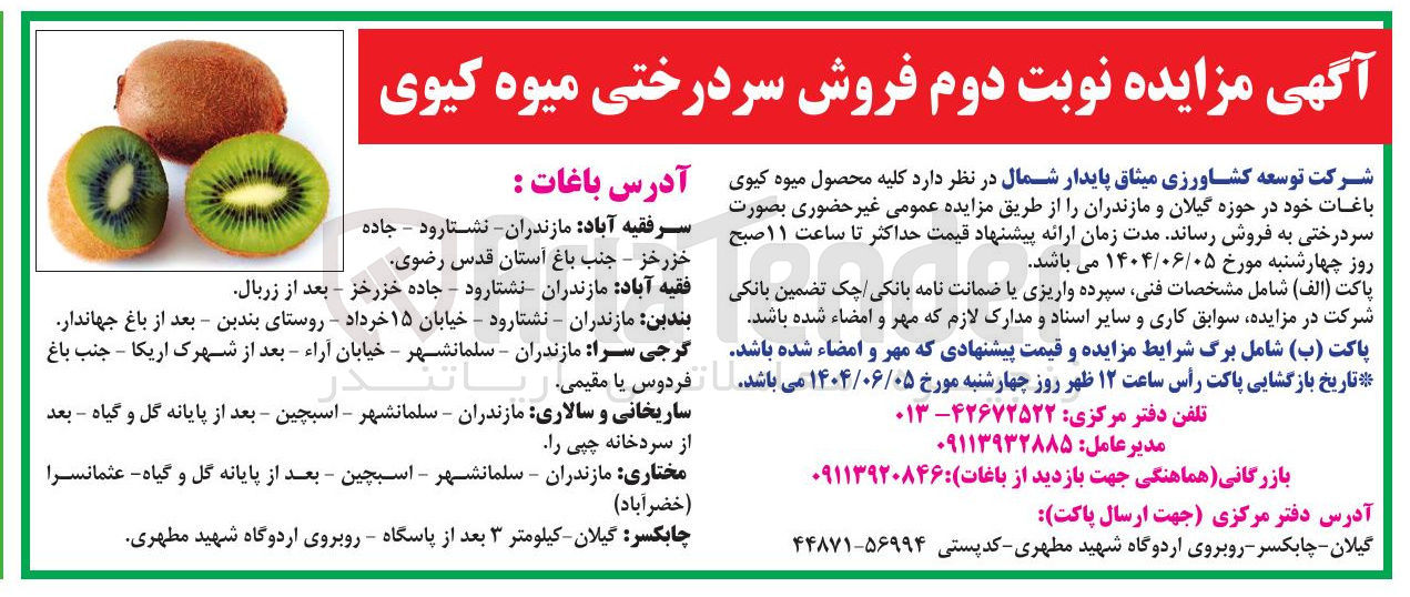تصویر کوچک آگهی فروش کلیه محصول میوه کیوی باغات