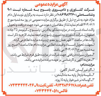 تصویر کوچک آگهی تلیسه باردار پایه سه ماه آبستن . 
