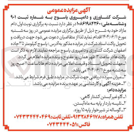 تصویر کوچک آگهی فروش دام مازاد : گاو غیر آبستن کشتار گاهی - تلیسه باردار پایه سه ماه آبستن - گوساله نر شیرخوار پایه ۱۵ روزه 