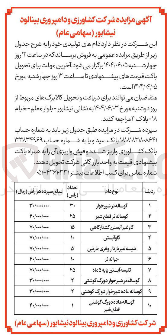 تصویر کوچک آگهی گوساله ماده شیرخوار دورگ گوشتی