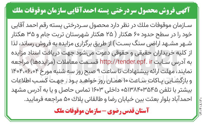 تصویر کوچک آگهی  فروش محصول سردرختی پسته احمد آقایی 
