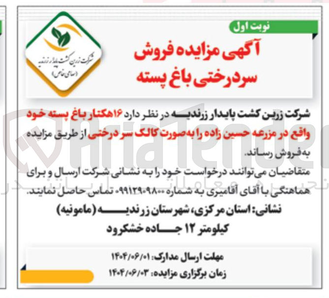 تصویر کوچک آگهی فروش ۱۶ هکتار باغ پسته خود به صورت کالک سر درختی