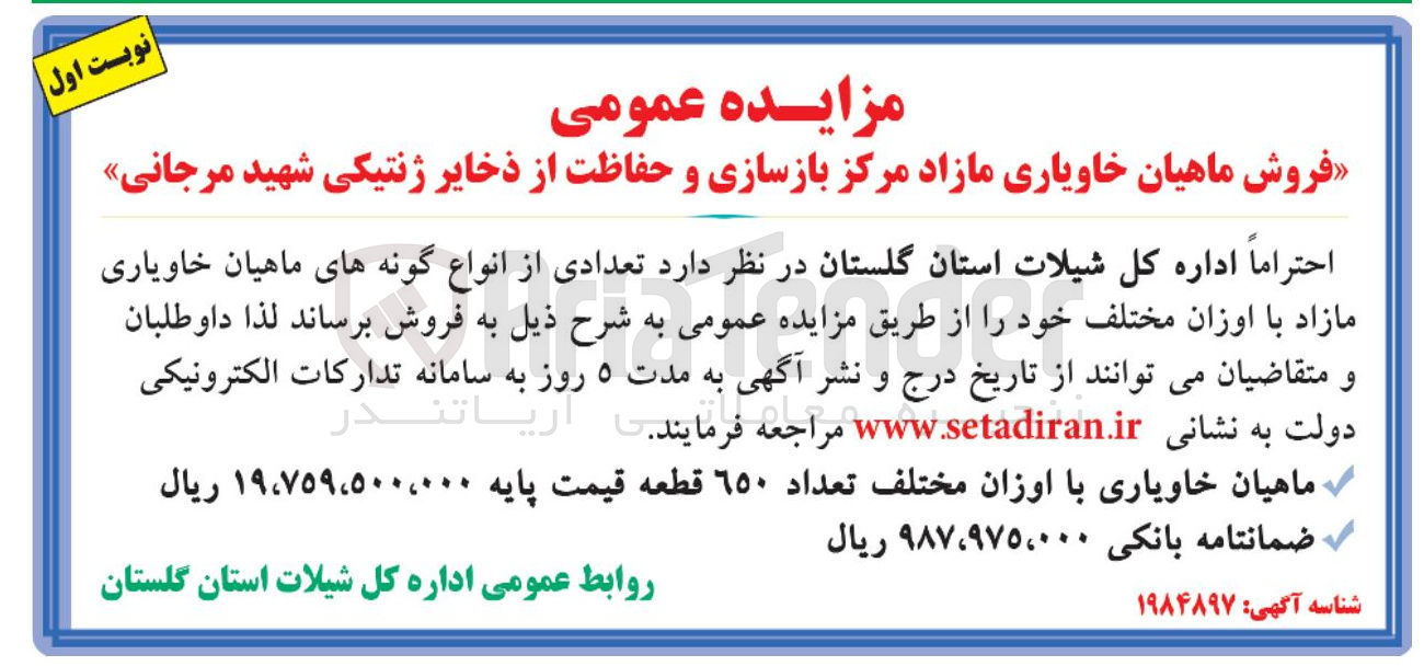 تصویر کوچک آگهی فروشماهیان خاویاری با اوزان مختلف تعداد ٦٥٠ قطعه 