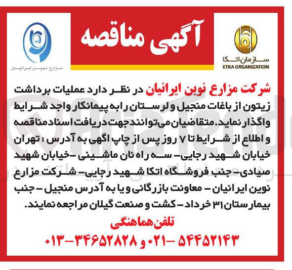 تصویر کوچک آگهی  عملیات برداشت زیتون از باغات