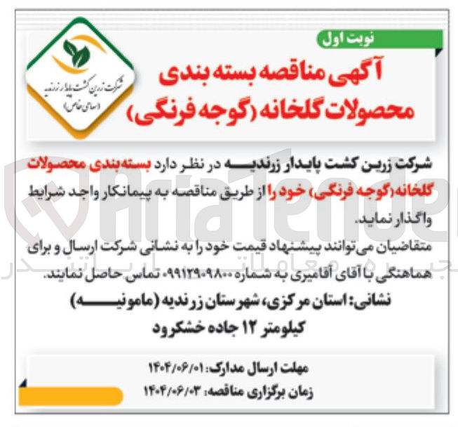 تصویر کوچک آگهی د بسته بندی محصولات گلخانه گوجه فرنگی