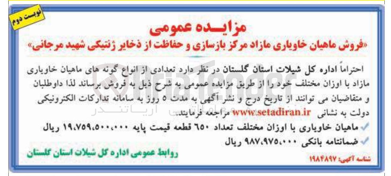 تصویر کوچک آگهی فروش ماهیان خاویاری با اوزان مختلف تعداد 650 قطعه