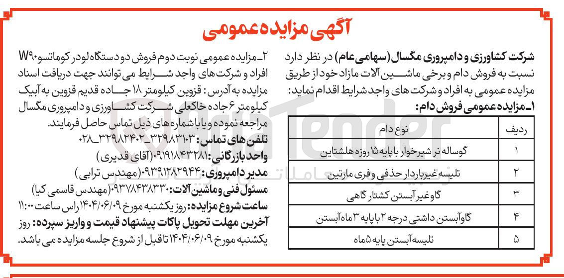 تصویر کوچک آگهی گاو غیر آبستن کشتارگاهی 
