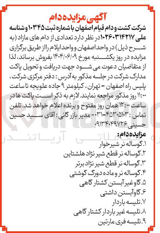 تصویر کوچک آگهی فروش تعدادی از دام های مازاد : گوساله نر شیرخوار - گوساله نر قطع شیر نژاد هلشتاین - گوساله نر قطع شیر نژاد برتر - گوساله نر و ماده دورگ گوشتی - گاو غیر آبستن کشتارگاهی - گاو آبستن داشتی - تلیسه باردار - تلیسه غیر باردار کشتارگاهی - تلیسه فری مارتین