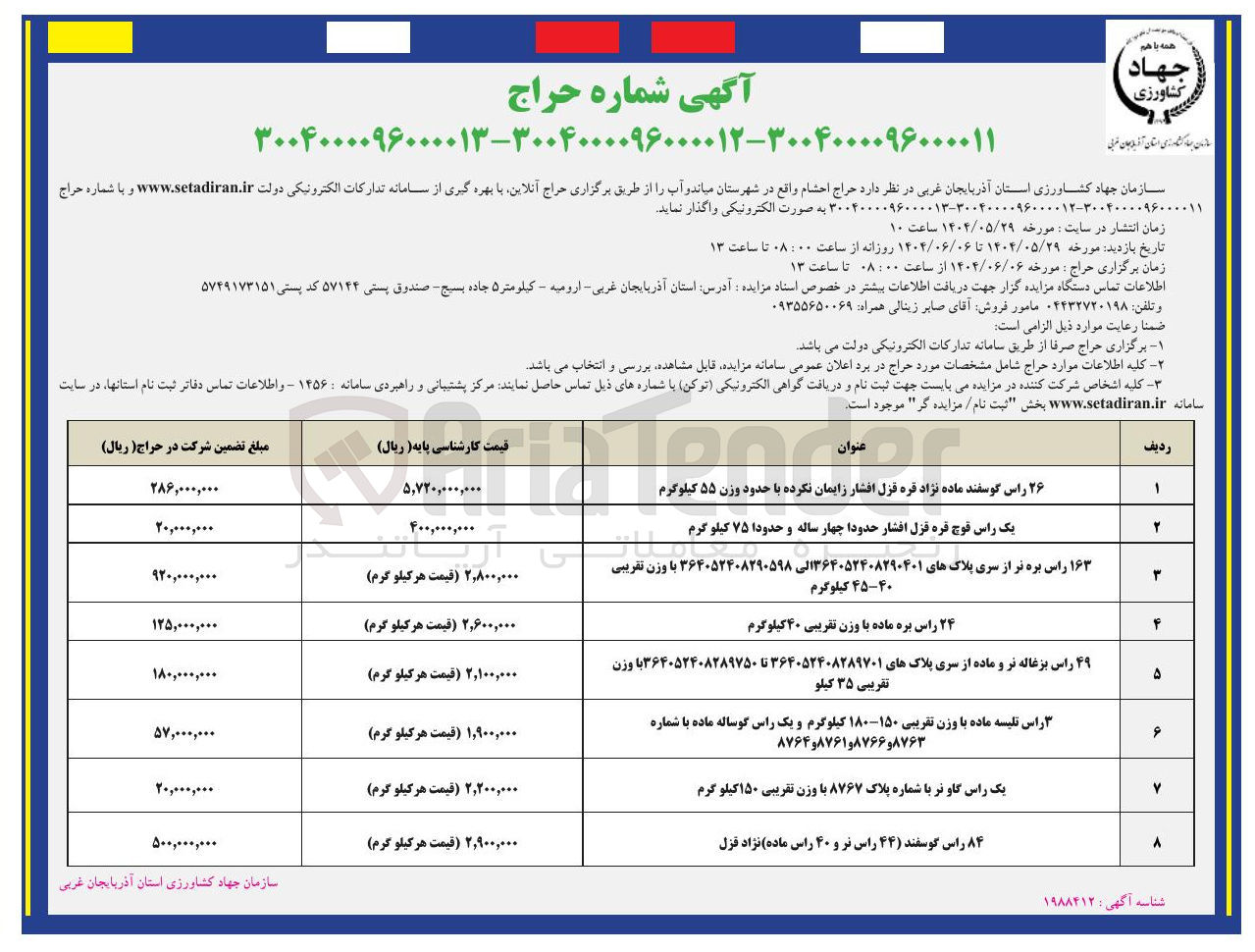 تصویر کوچک آگهی فروش یک راس فوج قره قزل افشار حدودا چهار ساله و حدودا ۷۵ کیلو گرم 
