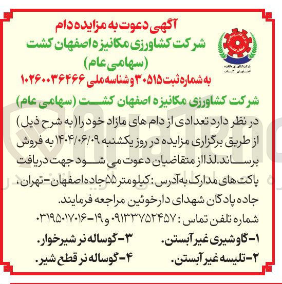 تصویر کوچک آگهی فروش تعدادی از دامهای مازاد