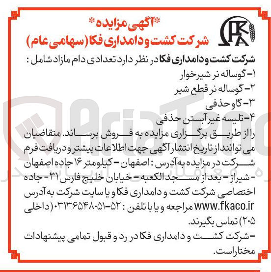 تصویر کوچک آگهی ۴ - تلیسه غیر آبستن حذفی 
