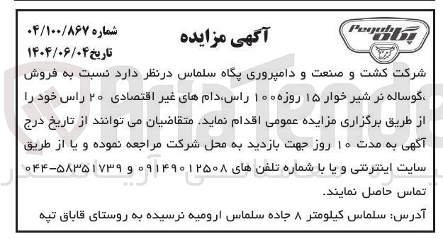 تصویر کوچک آگهی فروش گوساله نر شیر خوار ۱۵ روزه ۱۰۰ راس دام های غیر اقتصادی ۲۰ راس 