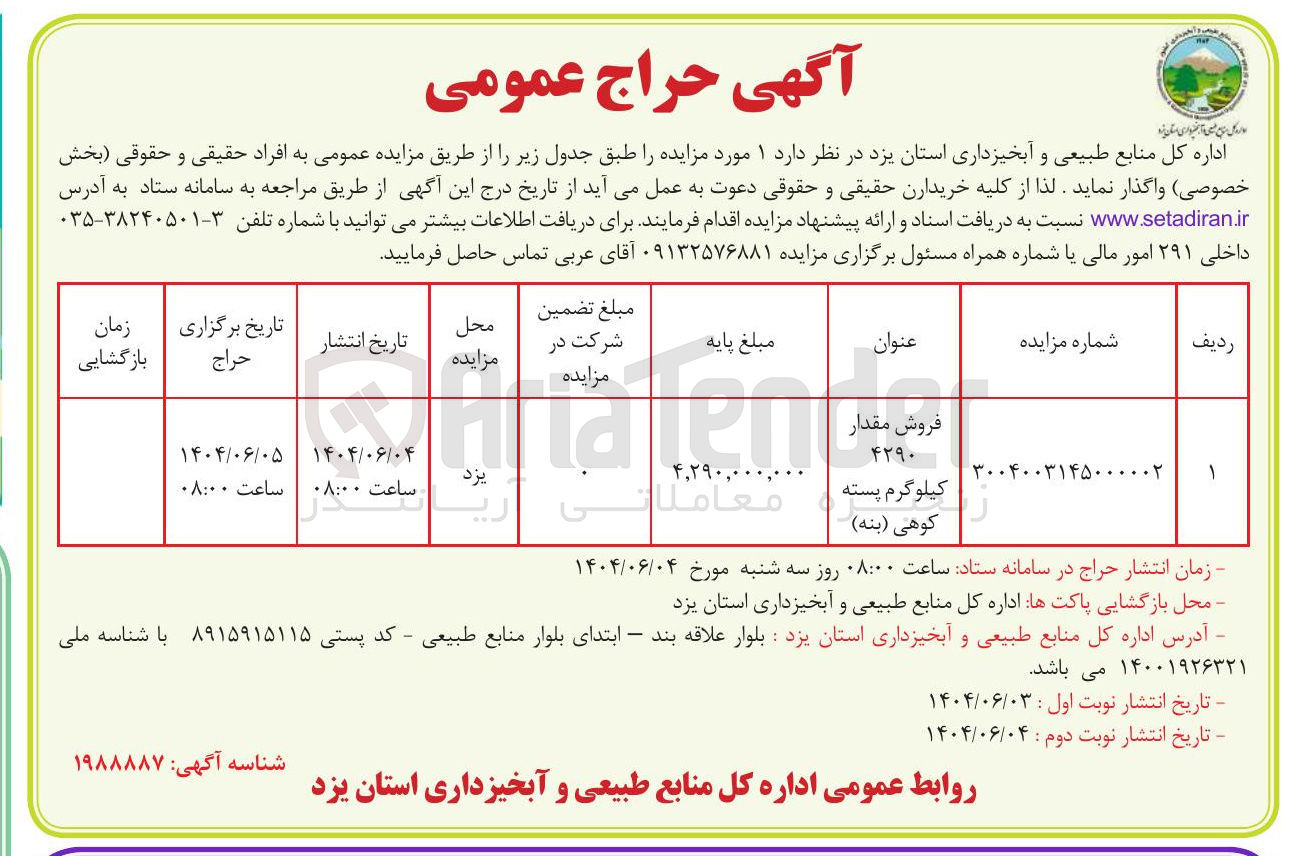تصویر کوچک آگهی فروش مقدار ۴۲۹۰ کیلوگرم پسته کوهی ( بنه ) 