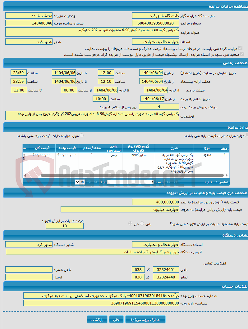 تصویر کوچک آگهی یک راس گوساله نر-شماره گوش90-6 ماه-وزن تقریبی202 کیلوگرم