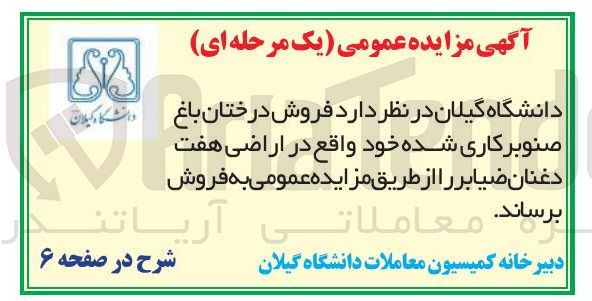 تصویر کوچک آگهی فروش درختان باغ صنوبرکاری شده 