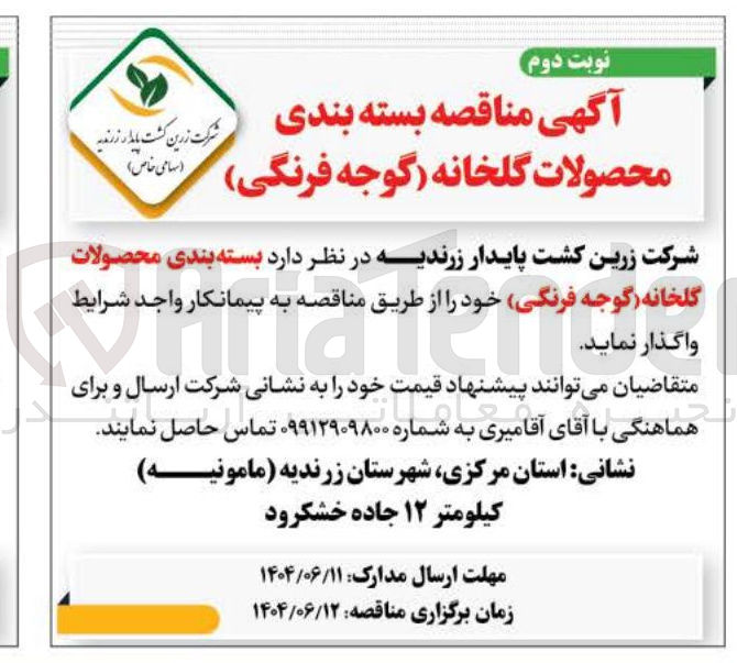 تصویر کوچک آگهی بسته بندی محصولات گلخانه (گوجه فرنگی)