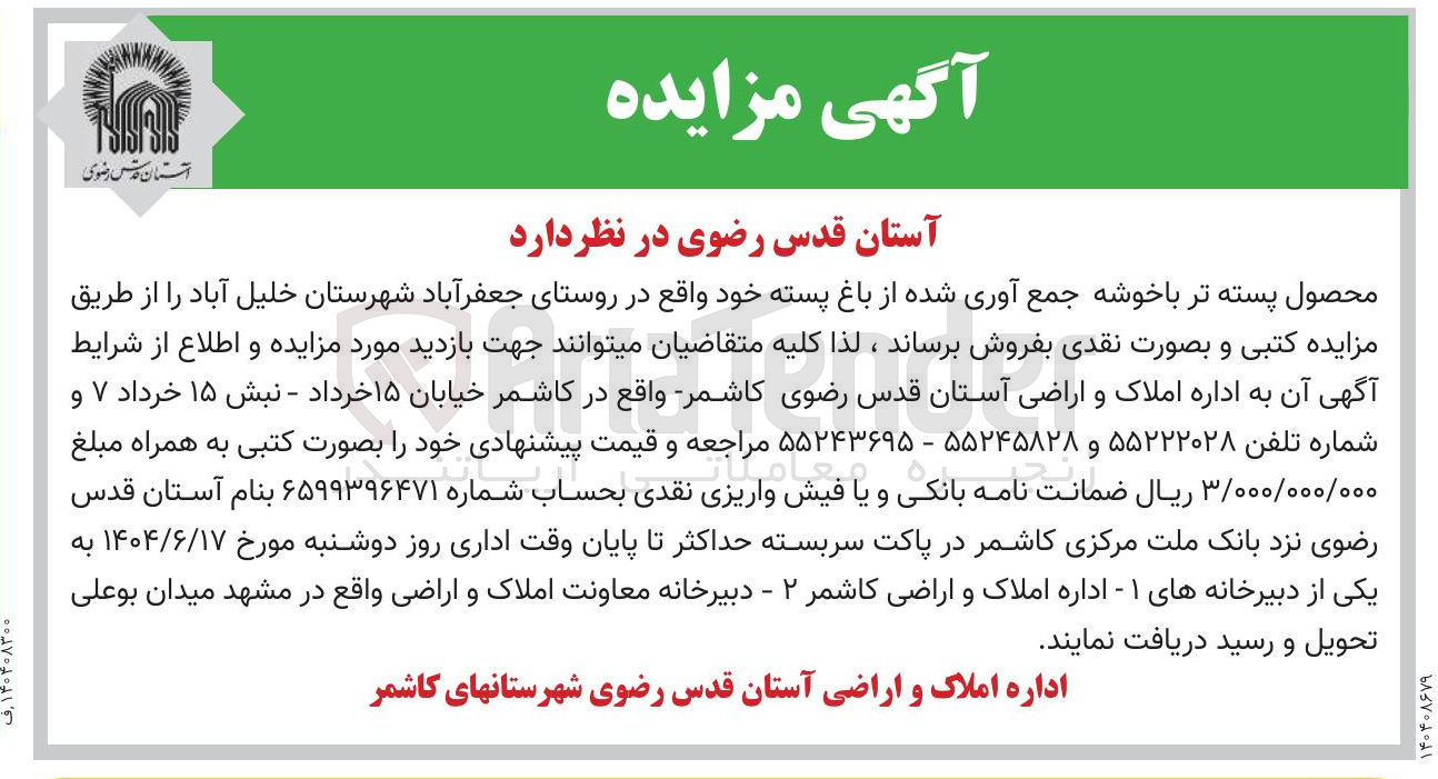 تصویر کوچک آگهی فروش محصول پسته تر با خوشه جمع آوری شده از باغ پسته