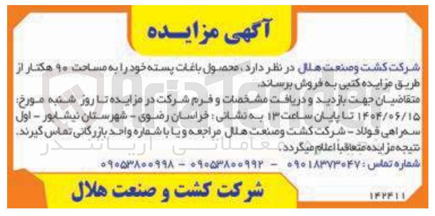 تصویر کوچک آگهی فروش محصول باغات پسته خود به مساحت ۹۰ هکتار