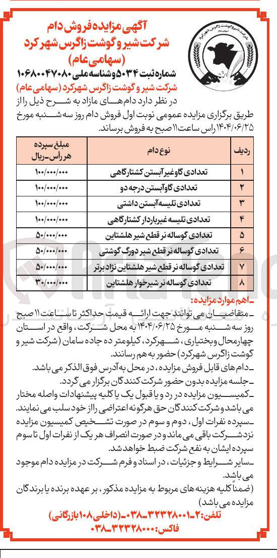 تصویر کوچک آگهی تعدادی تلیسه غیر باردار کشتارگاهی 
