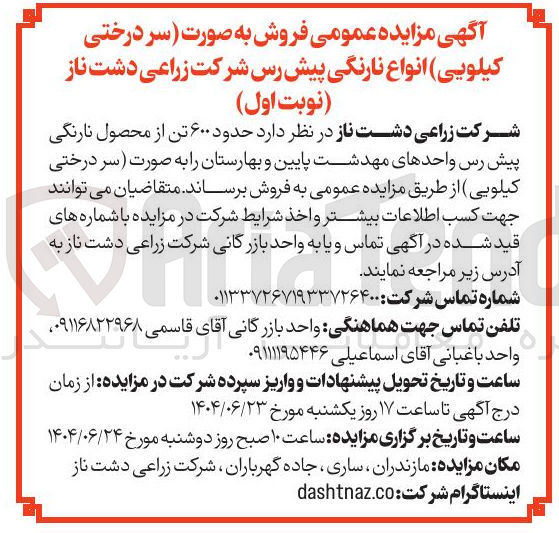 تصویر کوچک آگهی فروش به صورت سر درختی کیلویی انواع نارنگی پیش رس