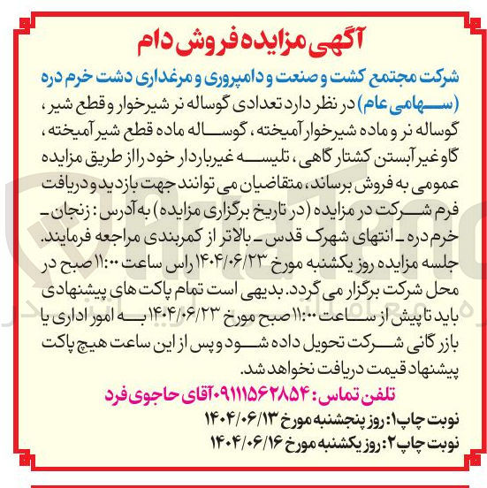 تصویر کوچک آگهی تعدادی گوساله نر شیرخوار و قطع شیر گوساله نر و ماده شیر خوار آمیخته ، گوساله ماده قطع شیر آمیخته گاو غیر آبستن کشتارگاهی تلیسه غیر باردار 