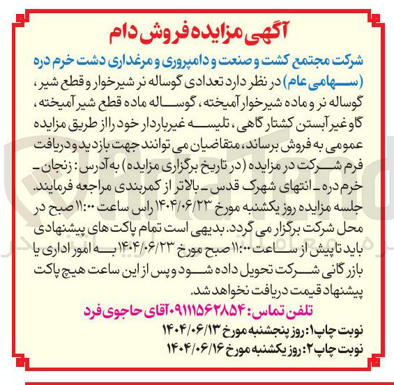 تصویر کوچک آگهی  تعدادی گوساله نر شیر خوار و قطع شیر 
گوساله نر و ماده شیر خوار آمیخته ، گوساله ماده قطع شیر آمیخته 
گاو غیر آبستن کشتارگاهی تلیسه غیر باردار خود 