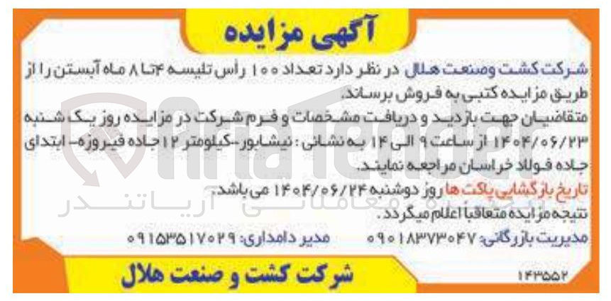 تصویر کوچک آگهی فروش تعداد ۱۰۰ رأس تلیسه ۴ تا ۸ ماه آبستن 