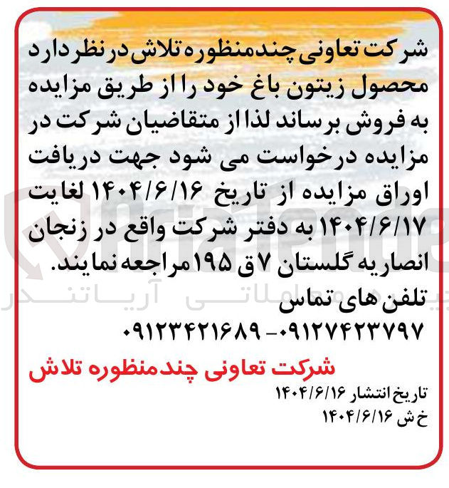 تصویر کوچک آگهی فروش محصول زیتون باغ 
