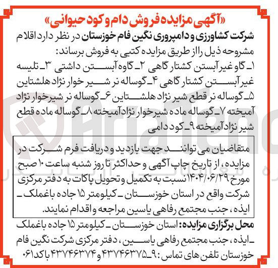 تصویر کوچک آگهی فروش اقلام : گاو غیر آبستن کشتارگاهی - گاوه آبستن داشتی ۳ تلیسه غیر آبستن کشتارگاهی - گوساله نر شیر خوار نژاد هلشتاین - گوساله نر قطع شیر نژاد هلشتاین - گوساله نر شیرخوار نژاد آمیخته - گوساله ماده شیر خوار نژاد آمیخته - گوساله ماده قطع شیر نژاد آمیخته - کود دامی